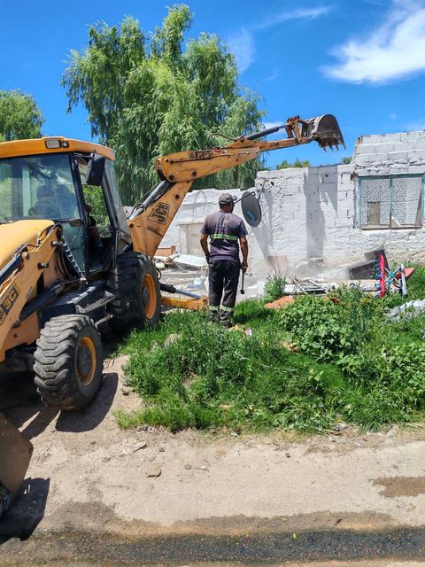 Demoliciones y saneamiento en padrones — foto 5