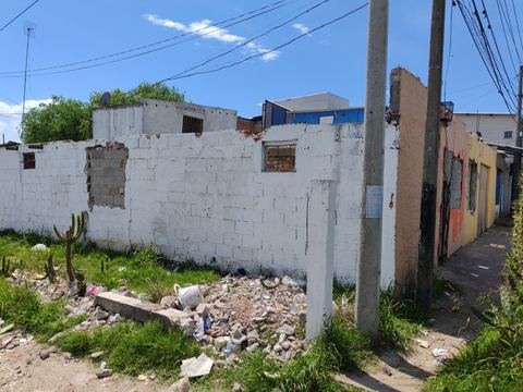 Demoliciones y saneamiento en padrones — foto 6